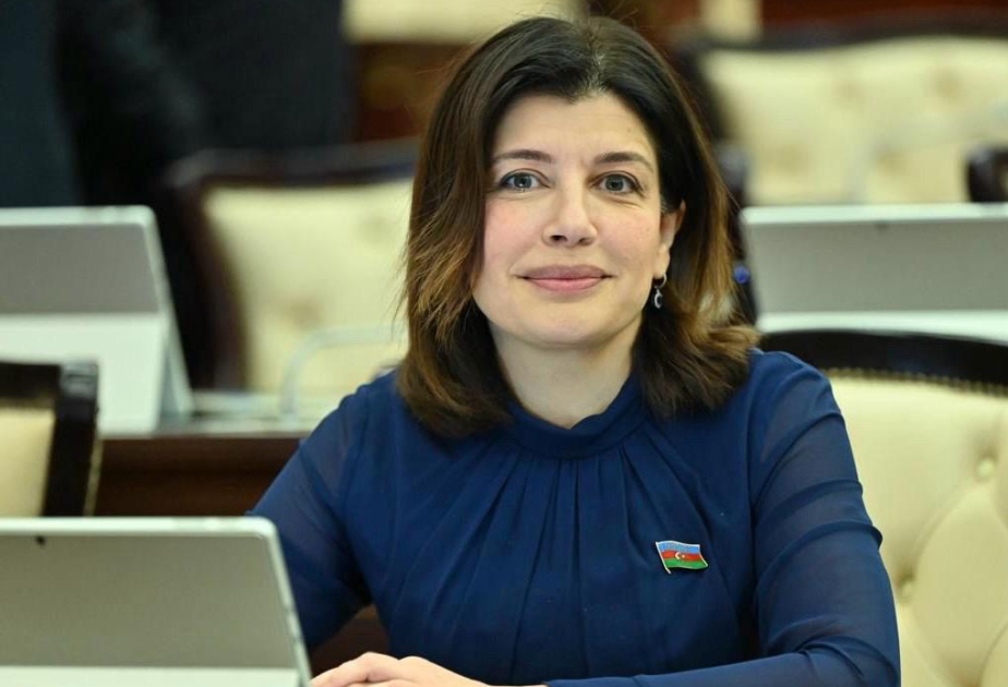 Гюнай Эфендиева: Инициативы по отмене 907-й поправки - важный поворотный момент в азербайджано-американских отношениях
