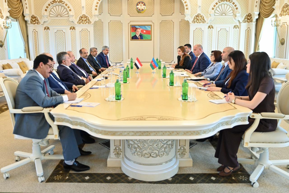 Председатель парламента Йемена высоко оценил развитие Азербайджана