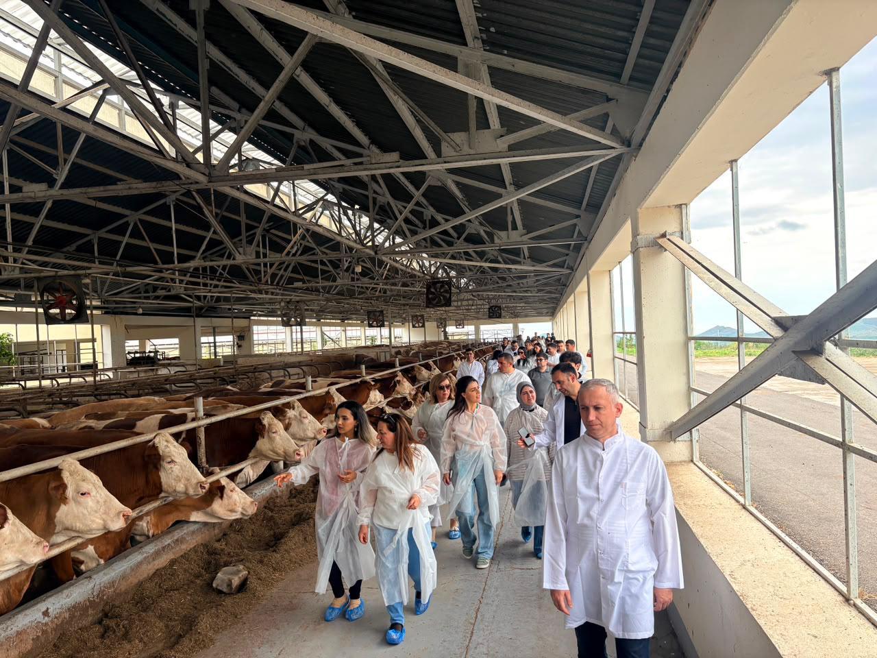 В Ходжалы создается новый центр племенного животноводства 