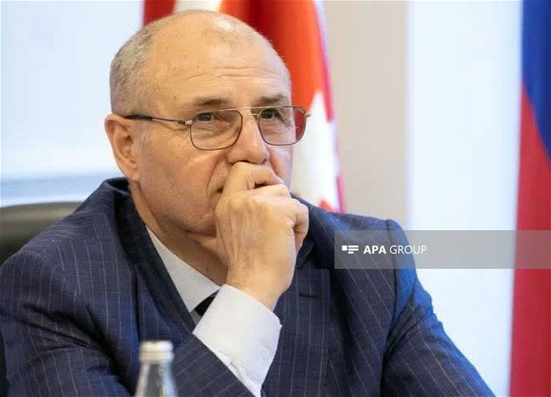 В России аннулировано гражданство еще одного руководителя азербайджанской диаспоры