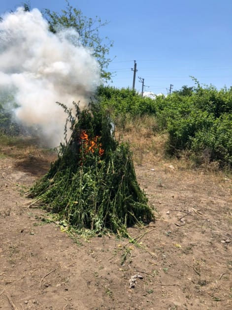 Своевременная операция