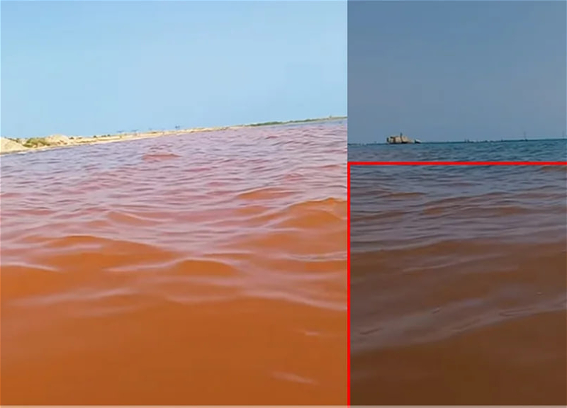 В бакинском поселке море окрасилось в коричневый цвет