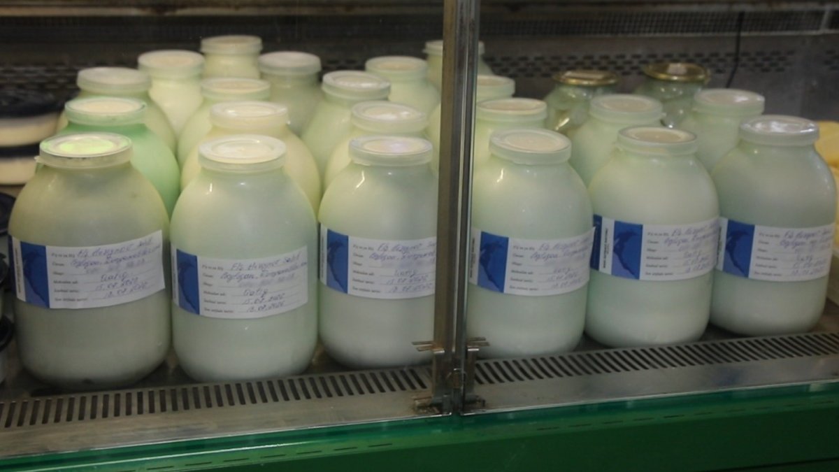 Поддержка семейных ферм: запущен новый проект по маркировке молочной продукции