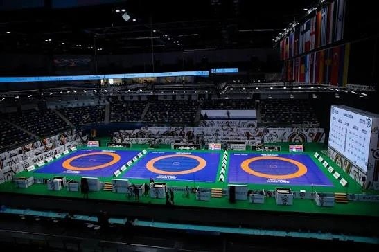 Домашний чемпионат как инвестиция в будущее