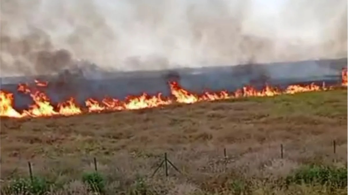 Пожар в Агдамском районе ликвидирован, несмотря на взрывы мин
