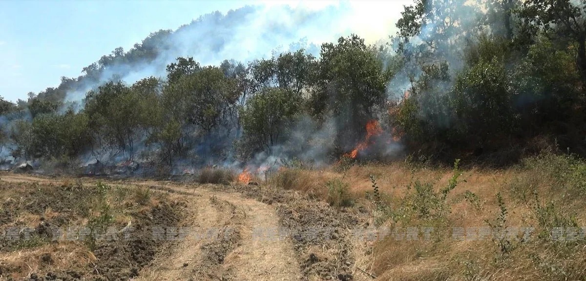 В селе Кенгерли Агдамского района вспыхнул пожар
