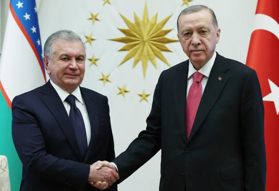 Реджеп Тайип Эрдоган: Турция готова к укреплению Организации тюркских государств