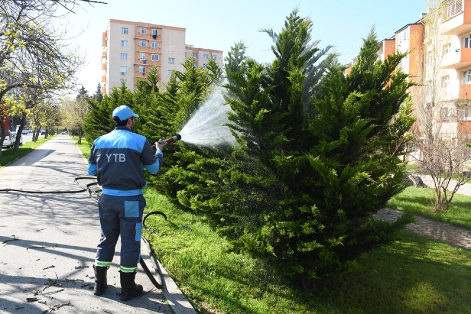 
В Баку прошел очередной субботник
