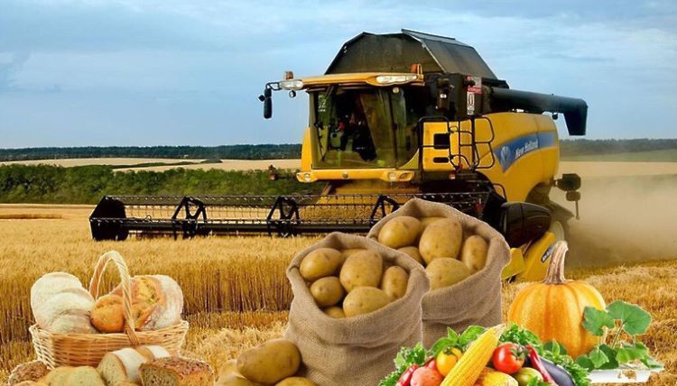 Большая стратегия для малых наделов