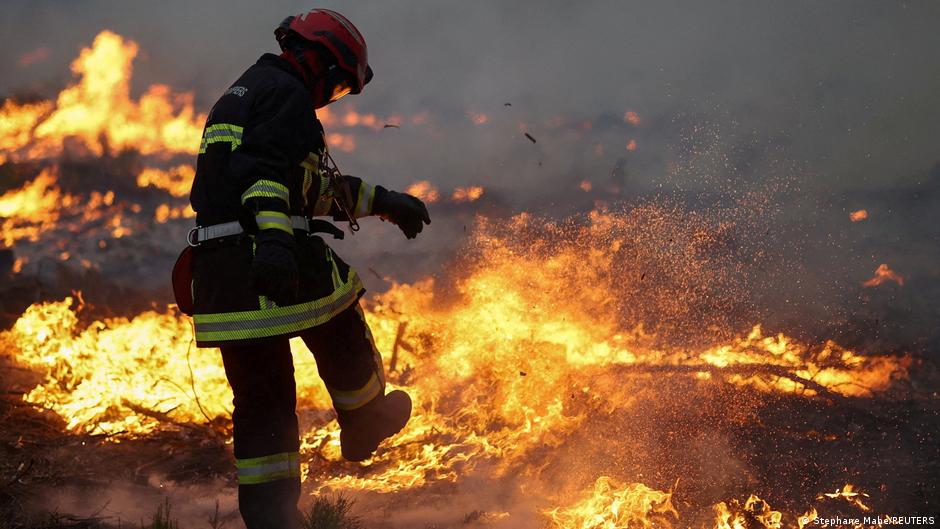 Во Франции задержали подозреваемого в причастности к лесным пожарам