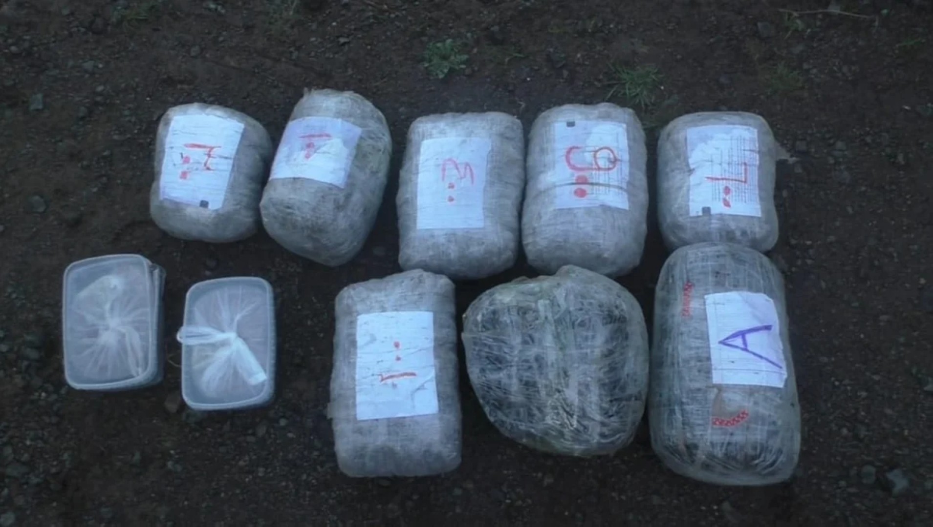 
В Астаре изъяли 18 кг наркотиков, двое арестованы