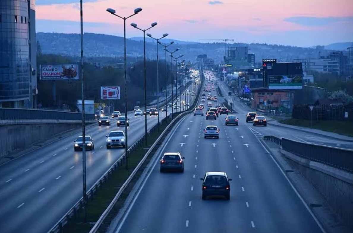 СМИ: В ФРГ закрыли на четыре месяца дорогу для строительства переходов для жаб