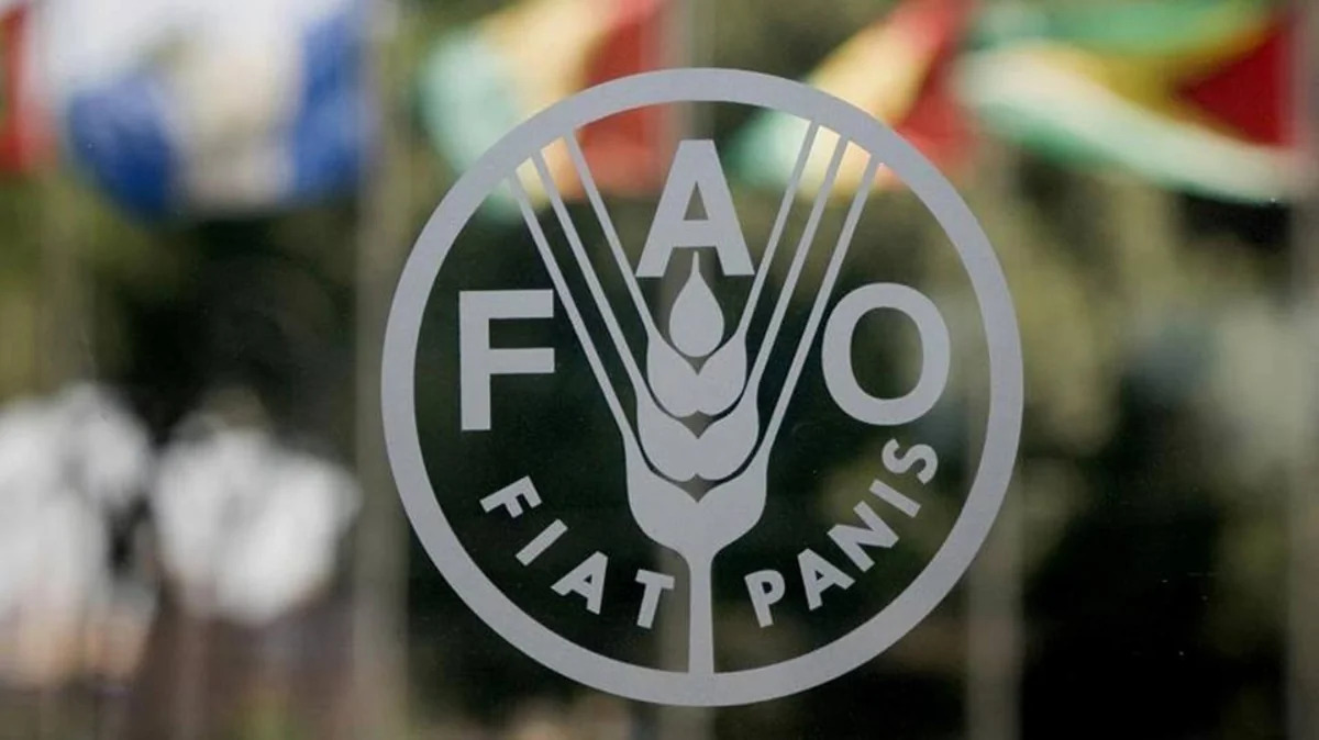 
FAO: В июле выросли мировые цены на продовольствие