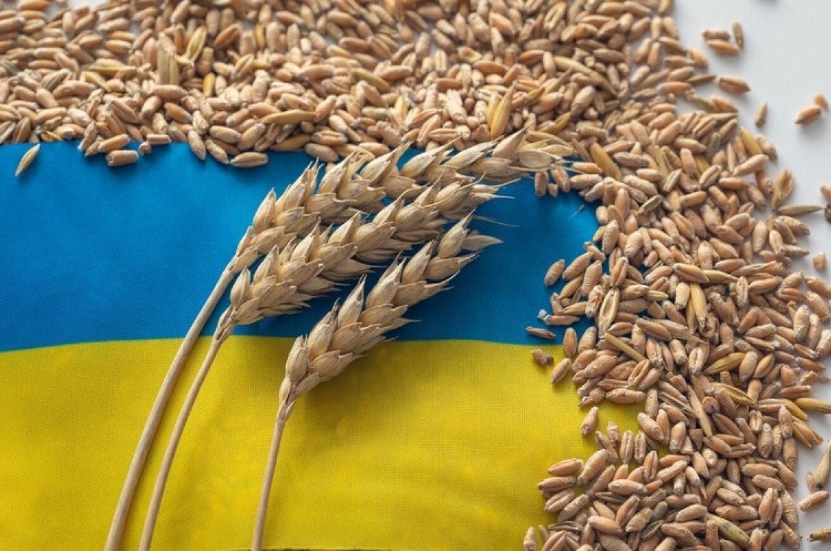 Украине грозит обвал экспорта зерна
