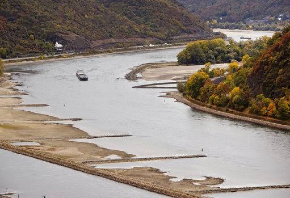
Низкий уровень воды угрожает судоходству на Рейне