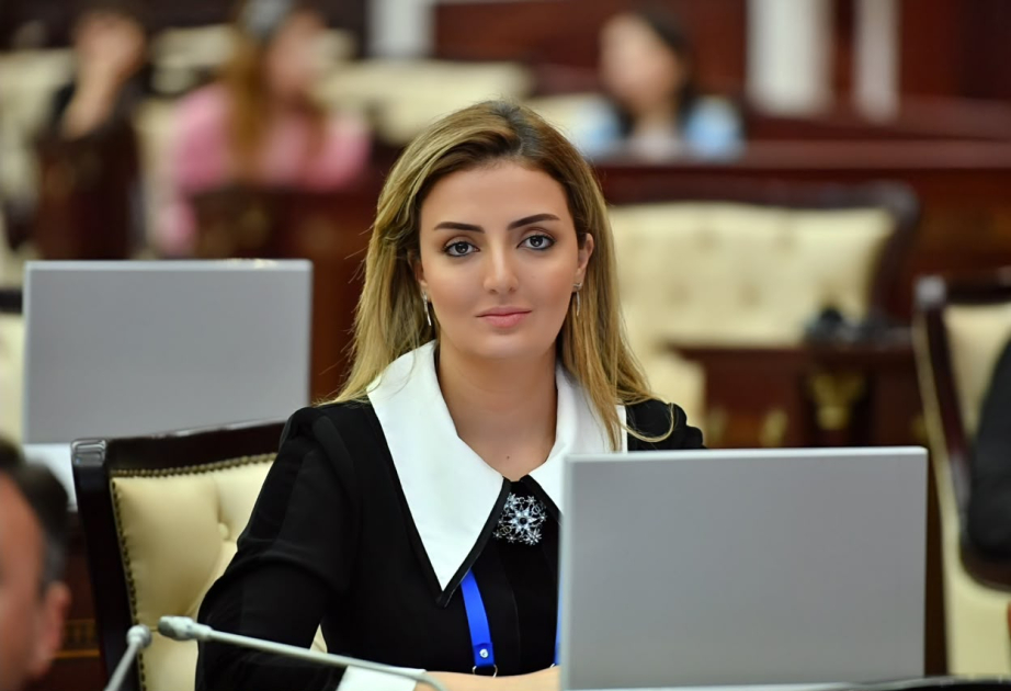 Зангезурский коридор повышает геоэкономическое значение Нахчывана