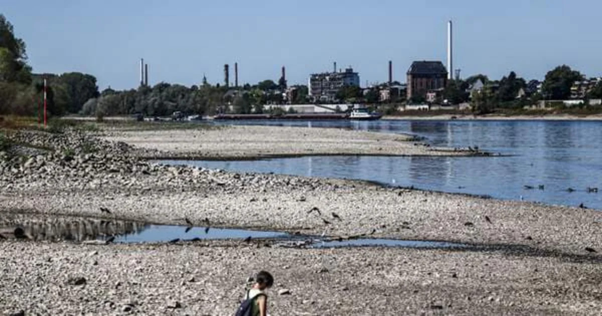 
В Рейне уровень воды постепенно повышается после рекордного снижения
