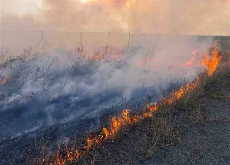 В Агдамском районе начался пожар на открытой местности