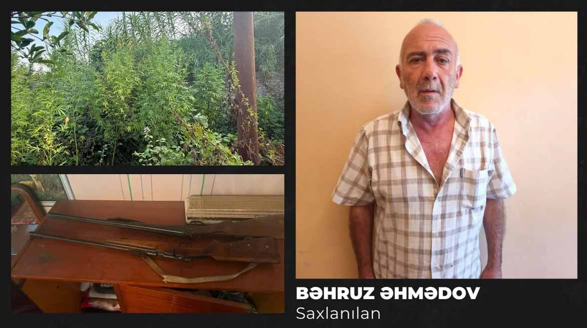 Жителя Гёйчая задержали за выращивание наркосодержащих растений