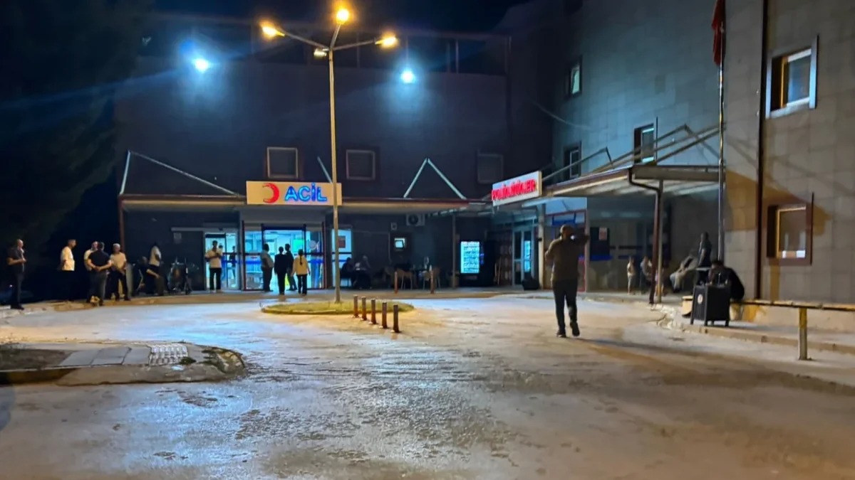 Утечка аммиака на птицеферме в Турции: пострадали 15 рабочих