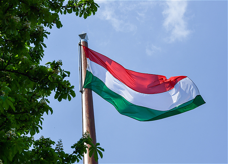 В Венгрии расследуют финансовые операции компании отца Орбана