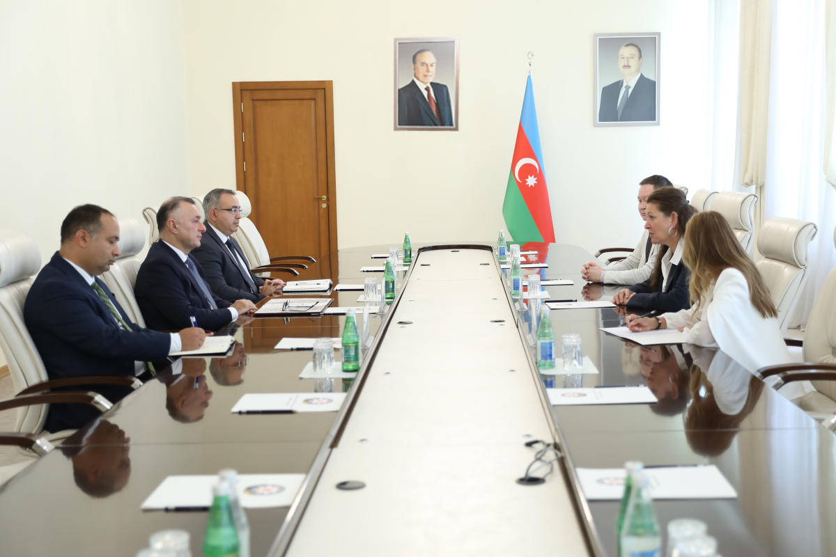 Министр здравоохранения встретился с директором Австрийского многостранового офиса UNOPS