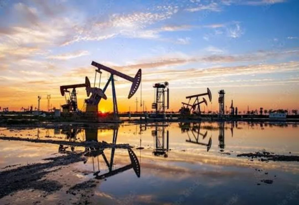 Аргентина вызвала послов Британии и Израиля из-за нефти у Фолклендов