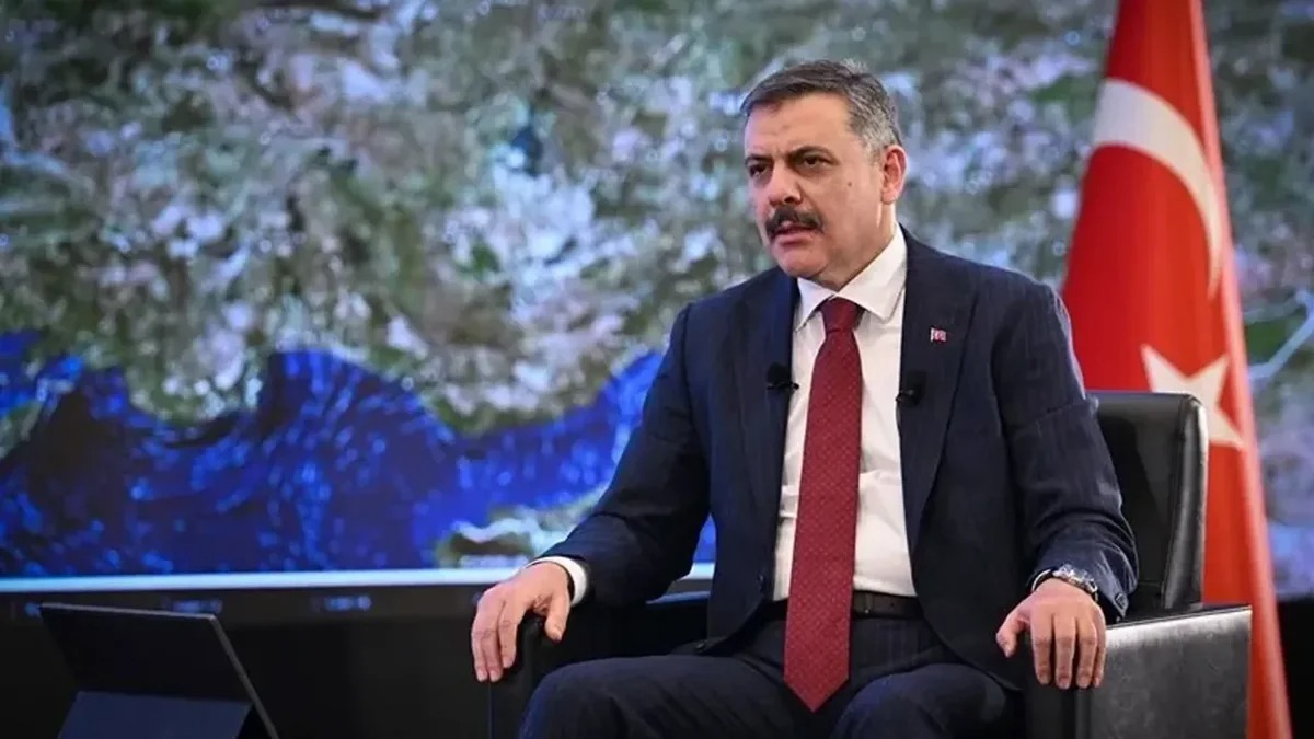 Баку-Анкара-Тбилиси усиливают координацию в борьбе с трансграничной преступностью