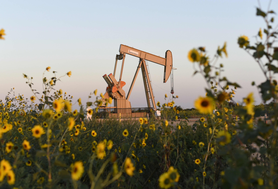 
На мировых биржах цены на нефть повысились
