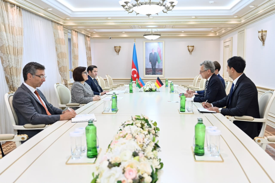 Посол Германии в Азербайджане побывал в Милли Меджлисе