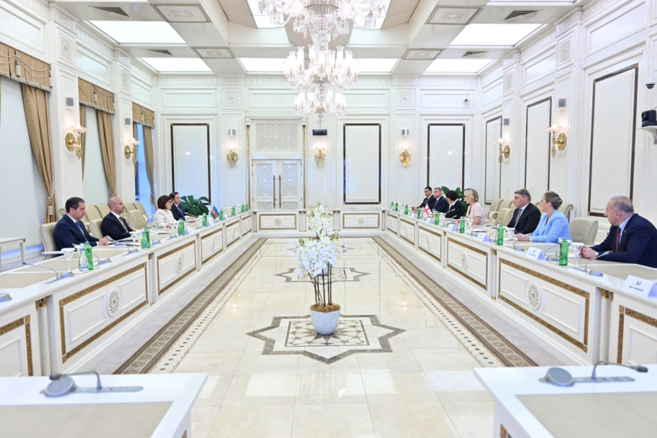 Сахиба Гафарова: Азербайджано-грузинская дружба служит усилению сотрудничества в регионе