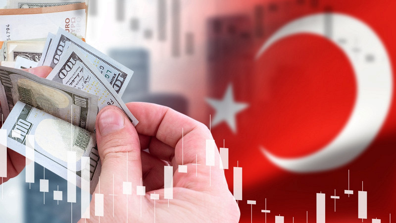 Hürriyet: В кабмине Турции возможны перестановки из-за кризиса на фондовом рынке