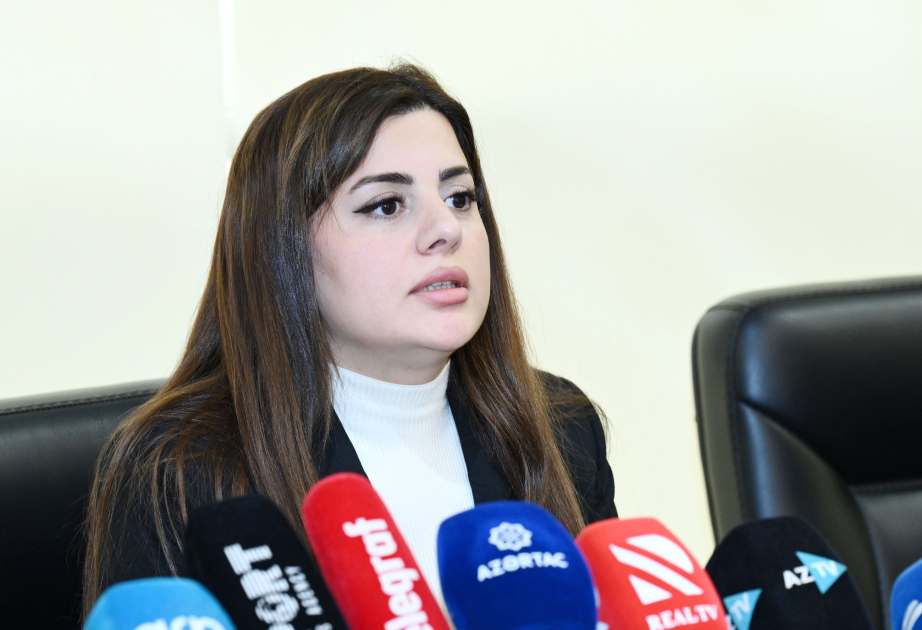 Депутат: В период оккупации Армения незаконно эксплуатировала 7 рудных и 39 нерудных месторождений Азербайджана