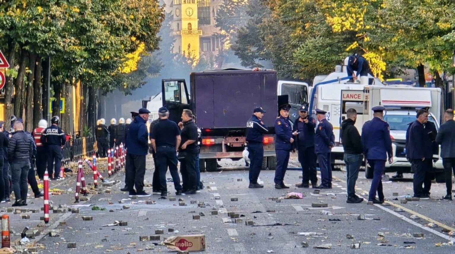 &laquo;Революция фламинго&raquo;
