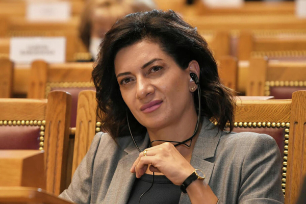 Супруга Пашиняна привлекла вузы к кампании против домашнего насилия
