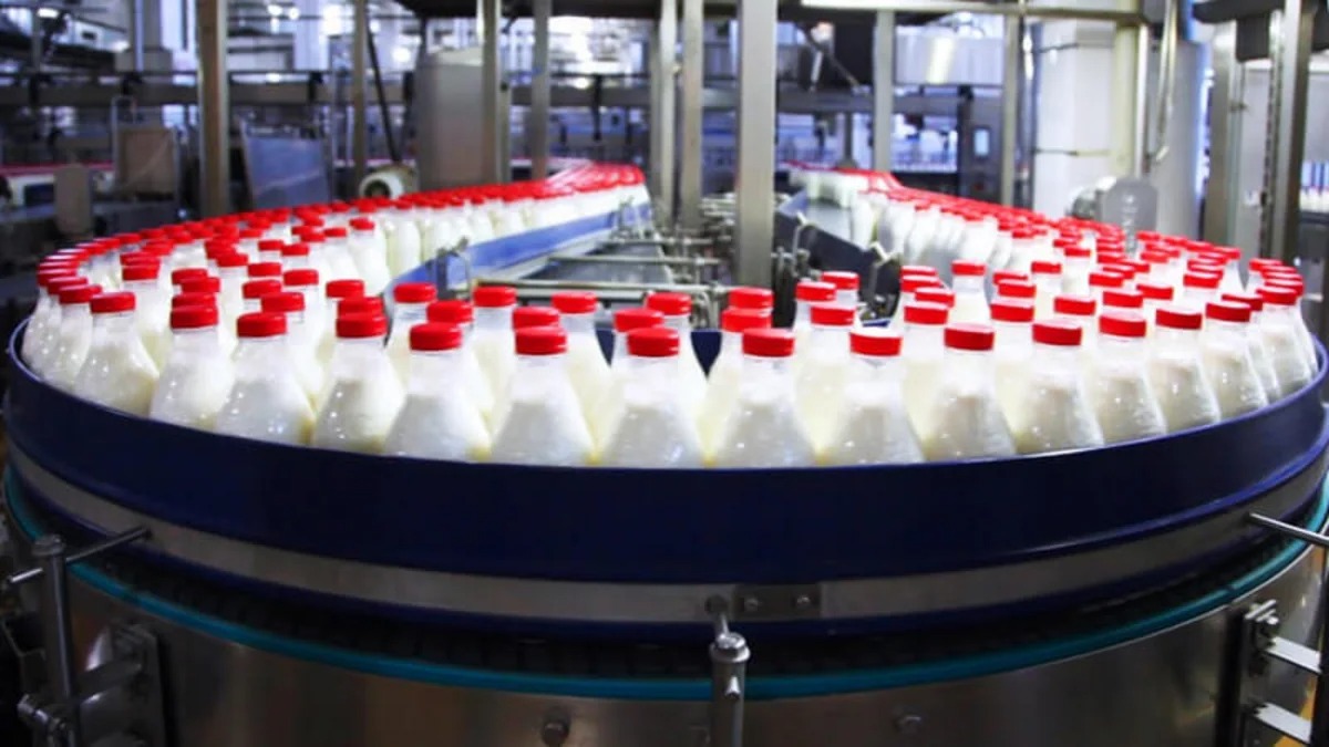 Не все ультрапереработанные продукты одинаково вредны