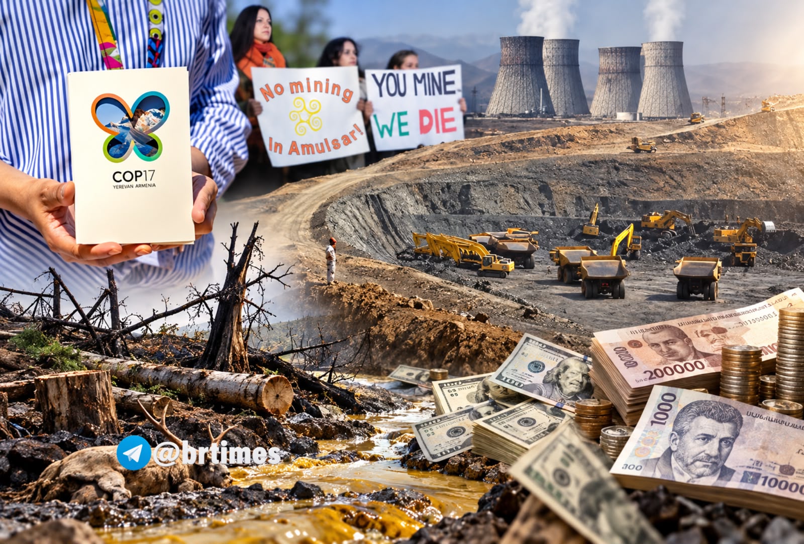 COP17: экоцид без наказания, двойные стандарты без границ 